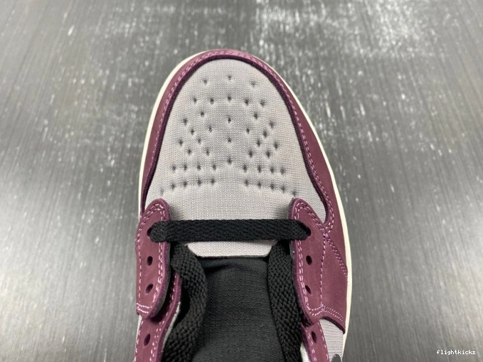 Jordan Gore-Tex Air Element 1 DB2889-500 0724